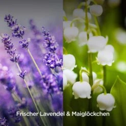 Airwick Raumduft Duftspray, 237 Ml, Geruchsneutralisierend, Lavendel & Maiglöckchen 10 Airwick Raumduft Duftspray, 237 Ml, Geruchsneutralisierend, Lavendel & Maiglöckchen -Hause Gemischtwaren Geschäft 0bcfc7788d6365d46cb9ed0ed7beddc3442c879e raumduft airwick duftspray 237 ml