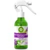 Airwick Raumduft Duftspray, 237 Ml, Geruchsneutralisierend, Lavendel & Maiglöckchen