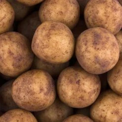 Zentis Marzipan Marzipan-Kartoffeln, In Einer Wiederverschließbaren Dose, 500g 7 Zentis Marzipan Marzipan-Kartoffeln, In Einer Wiederverschließbaren Dose, 500g -Hause Gemischtwaren Geschäft 8c18d4473ba786bda440db10326a68acf68d5fd7 marzipan zentis marzipan kartoffeln